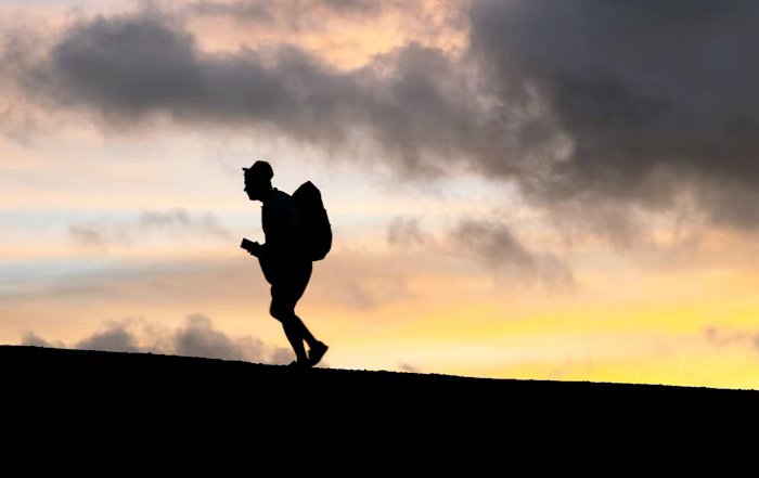 Article Image for Exercise for Mental Health: It's Not Just a Side Benefit