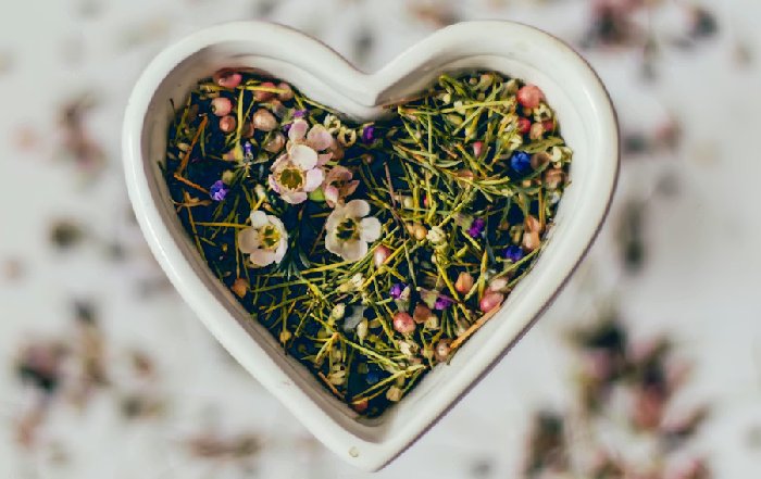 Article Image for Food is Medicine. Food is Love. Enjoy It as Both.