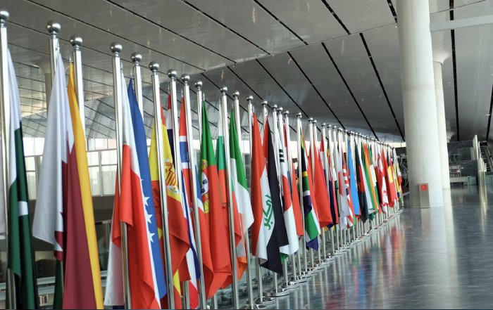 Article Image for How International Policies Influence Business Decisions