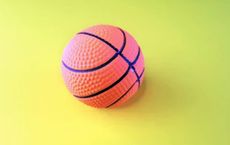 Article Image for The Business of Sports and Its Growing Influence