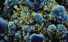 Article Image for The Simple Act That Can Prevent Infectious Illnesses