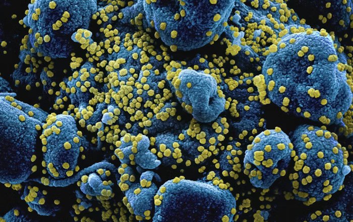 Article Image for The Simple Act That Can Prevent Infectious Illnesses