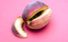 Article Image for The Snack Hacks That Keep You Full and Focused